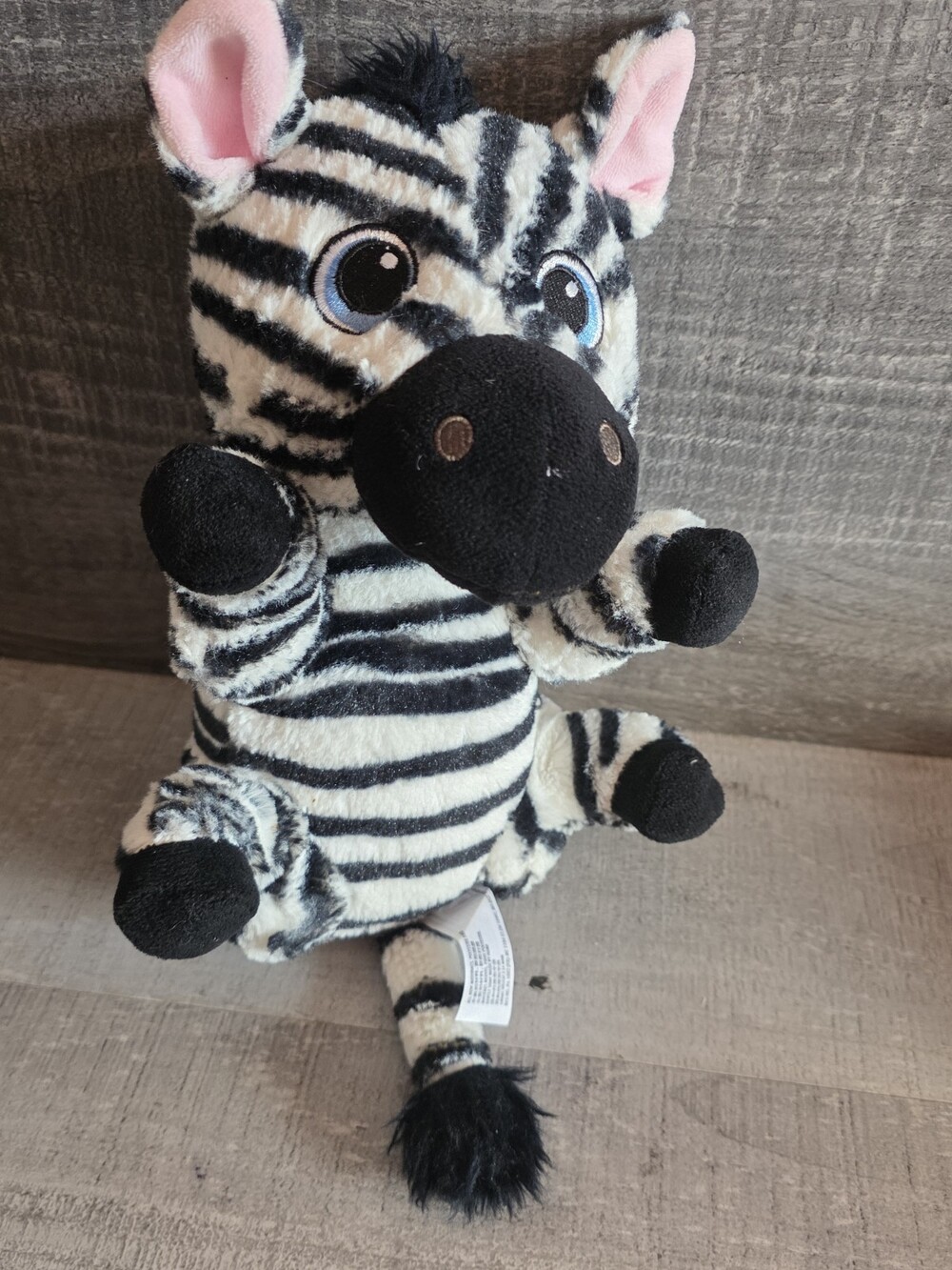 Authentic Original Disney Parks Disney’s Babies Plush Baby Zebra No Blanket g57